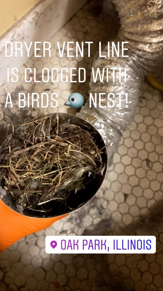 The clogged dryer vent line with Birds Nest in Chicago